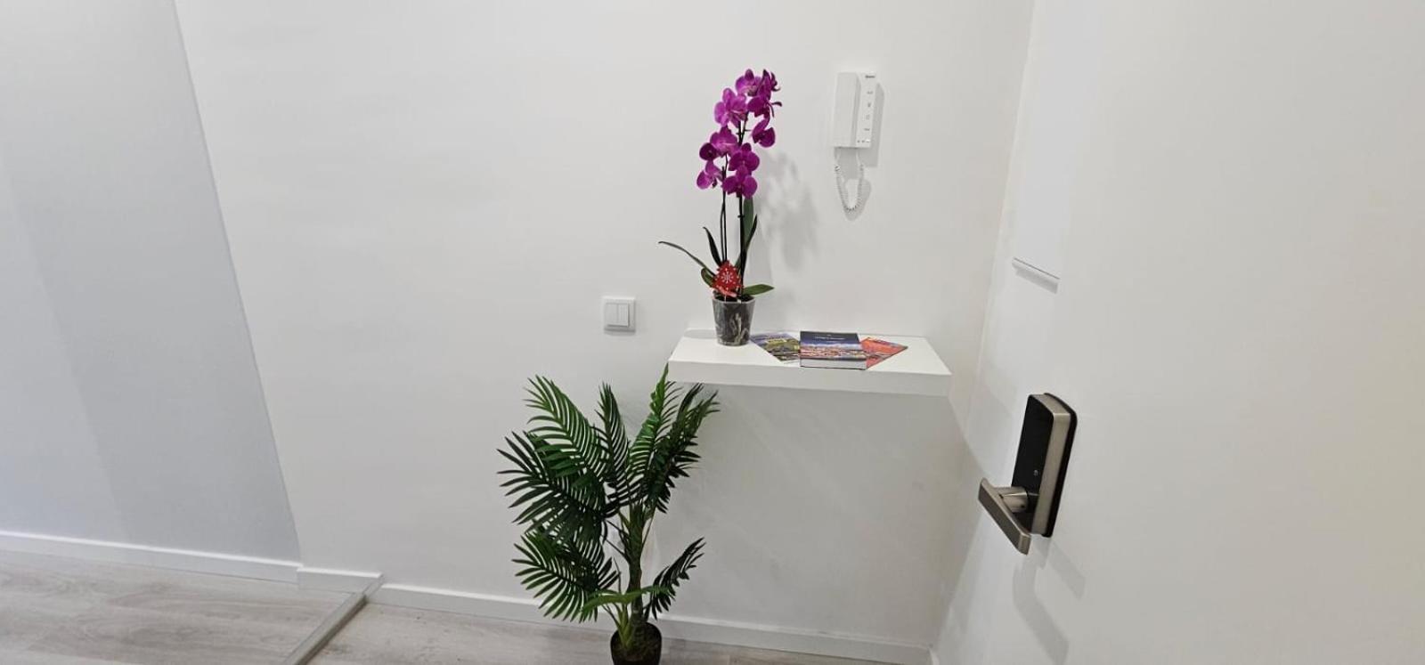 Apartamento Time Off Madeira Funchal  Exterior foto